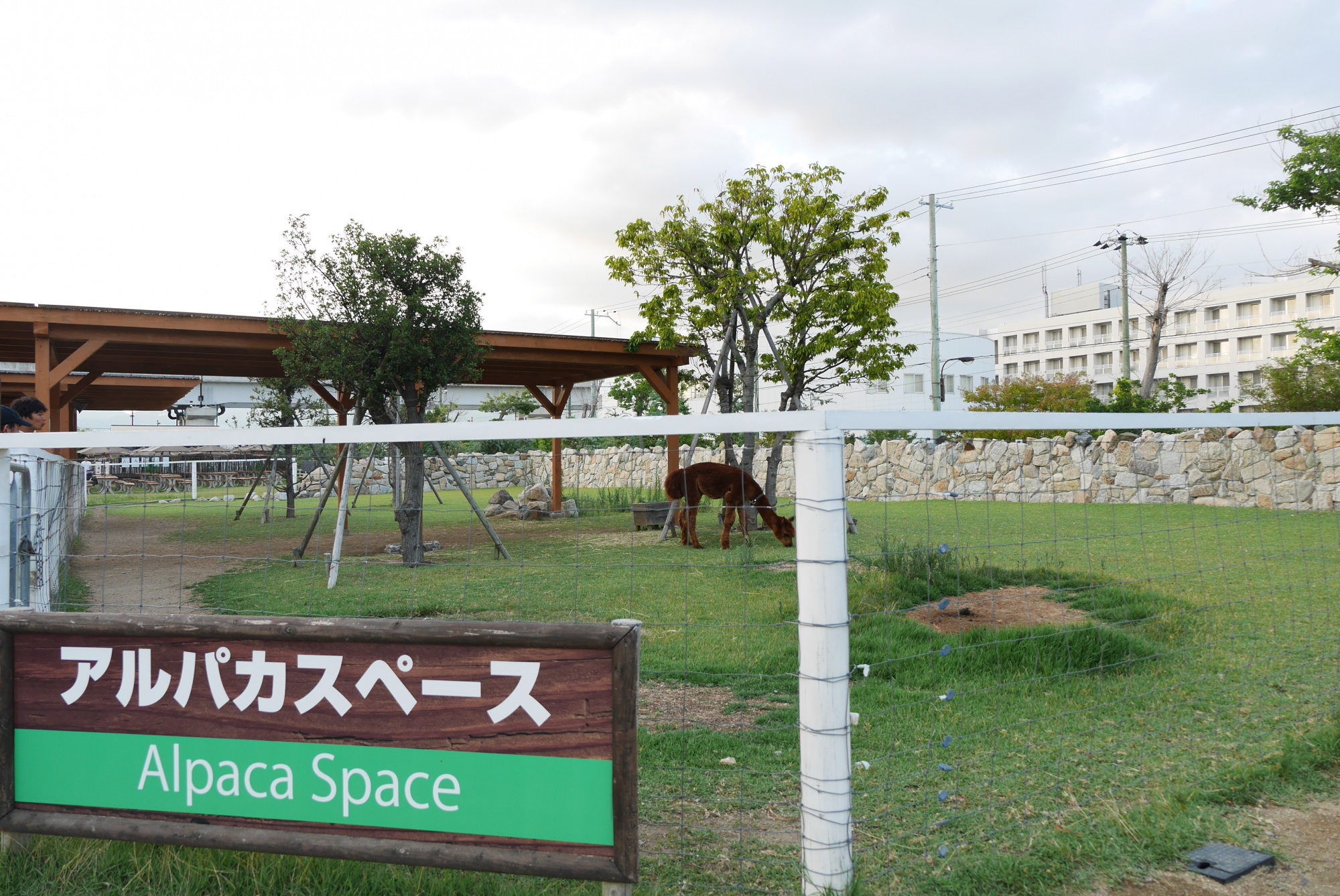アルパカスペース（Alpaca Space）