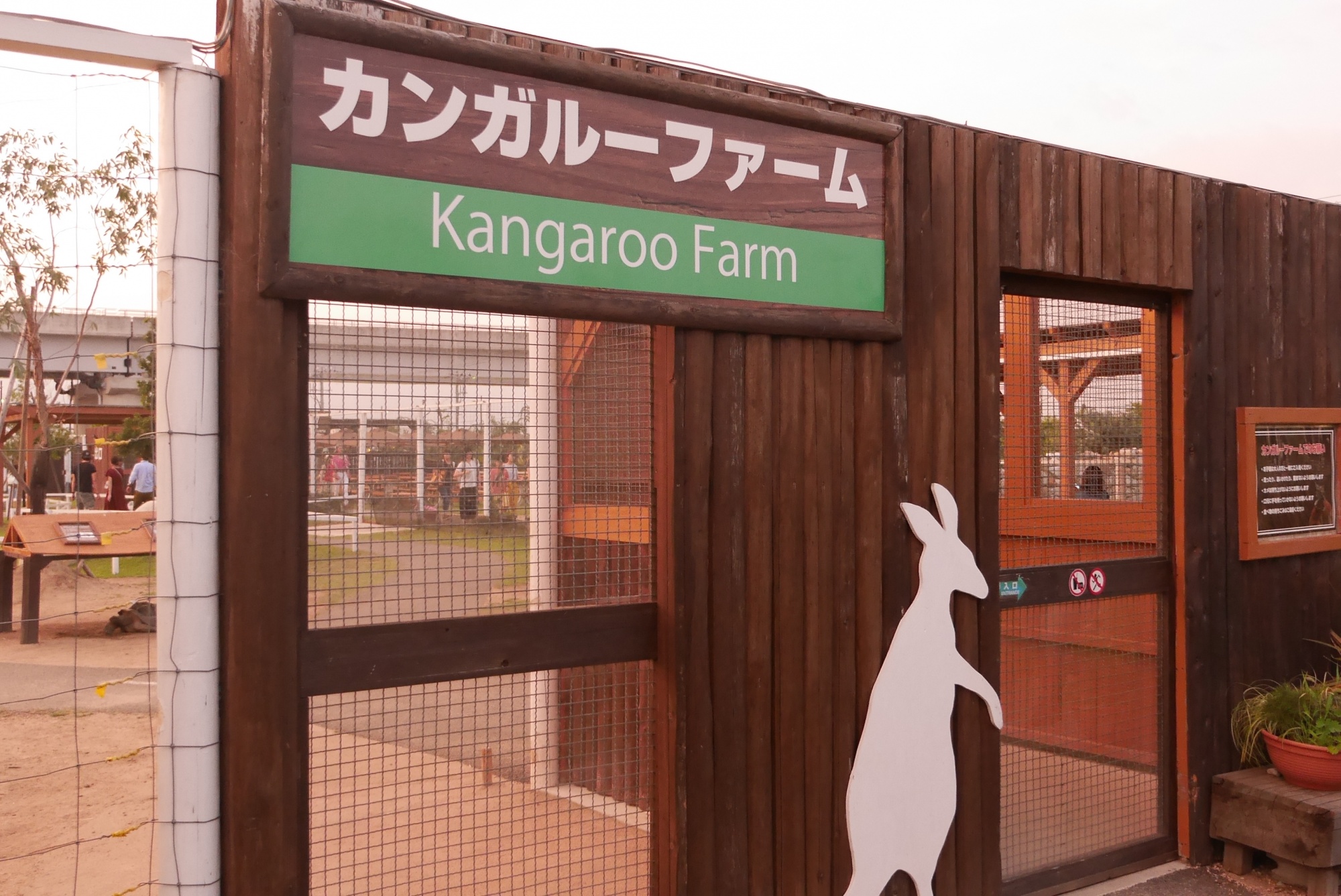 カンガルーファーム（Kangaroo Farm）