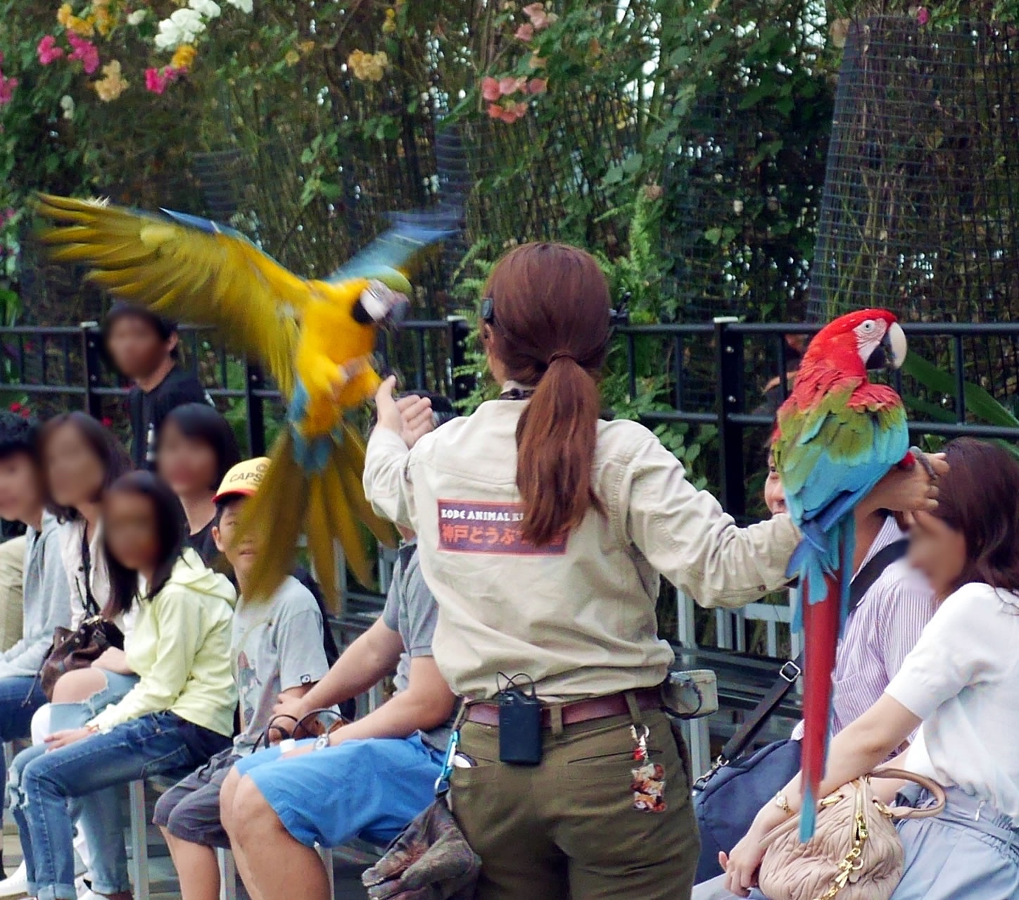 バードパフォーマンスショー（Bird Performance Show Stage）