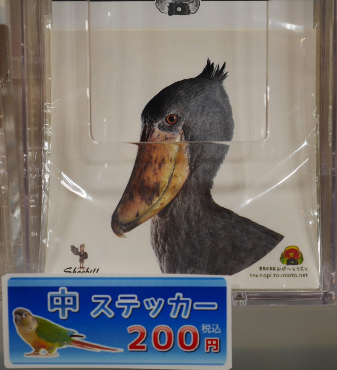 ハシビロコウの中ステッカー200円