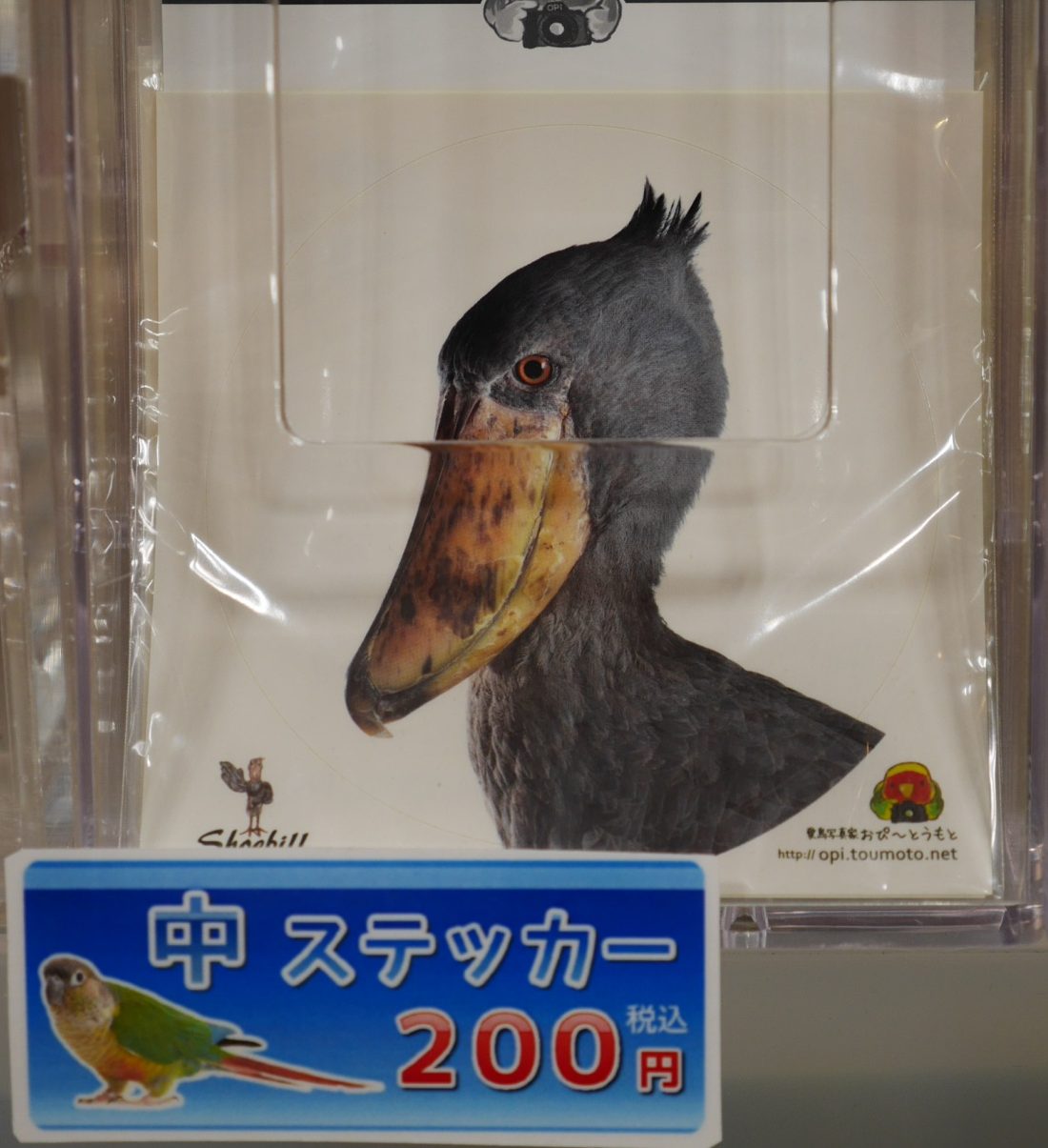 ハシビロコウの中ステッカー200円